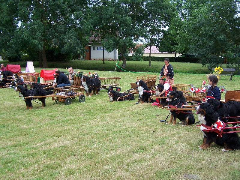 attelage